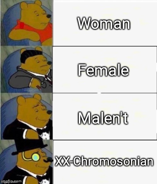 For those who don't know, XX= Female, XY= Male. Also I think XX Chhromosome is a good name | Woman; Female; Malen't; XX-Chromosonian | image tagged in tuxedo winnie the pooh 4 panel | made w/ Imgflip meme maker