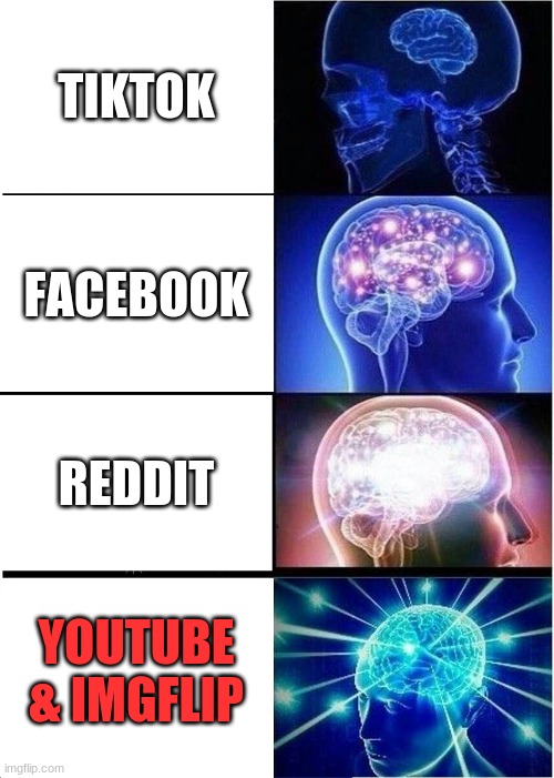 Correcto | TIKTOK; FACEBOOK; REDDIT; YOUTUBE & IMGFLIP | image tagged in memes,expanding brain | made w/ Imgflip meme maker