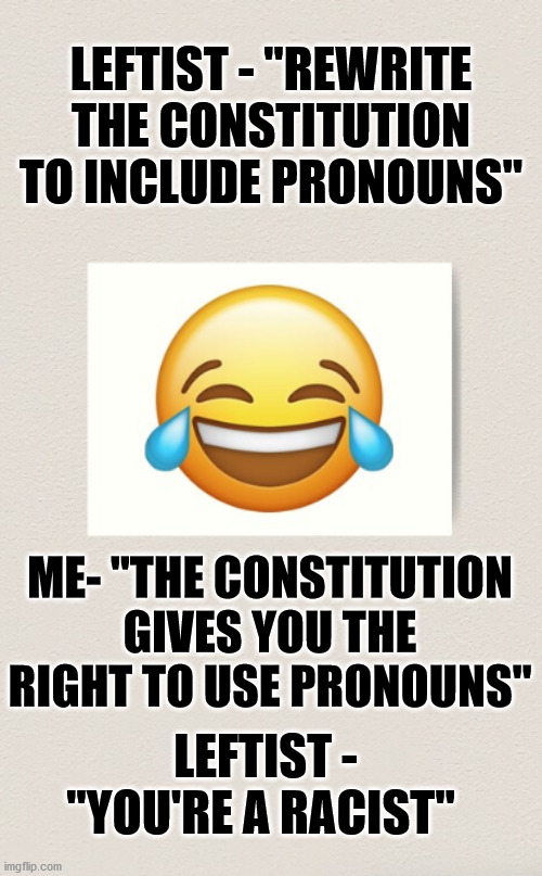 LEFTIST - "REWRITE THE CONSTITUTION TO INCLUDE PRONOUNS"; ME- "THE CONSTITUTION GIVES YOU THE RIGHT TO USE PRONOUNS"; LEFTIST - "YOU'RE A RACIST" | image tagged in constitution pronouns | made w/ Imgflip meme maker