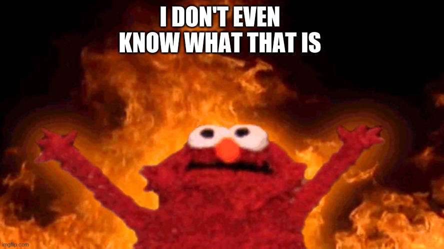 i should not be here |  I DON'T EVEN KNOW WHAT THAT IS | image tagged in elmo fire | made w/ Imgflip meme maker