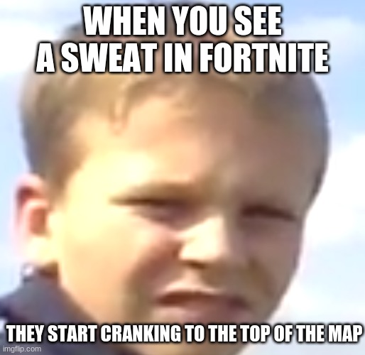 yad4drygdycggyucgs iu;resmcbyjfsch | WHEN YOU SEE A SWEAT IN FORTNITE; THEY START CRANKING TO THE TOP OF THE MAP | image tagged in chad mad | made w/ Imgflip meme maker