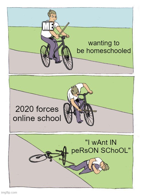 this was me. | ME; wanting to be homeschooled; 2020 forces online school; "I wAnt IN peRsON SChoOL" | image tagged in memes,bike fall | made w/ Imgflip meme maker