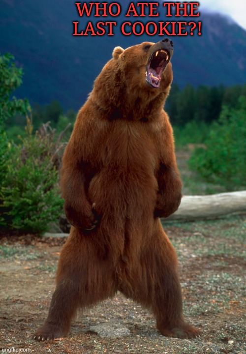 Bear takeover | WHO ATE THE LAST COOKIE?! | image tagged in bear,takeover,angry,grizzly bear | made w/ Imgflip meme maker