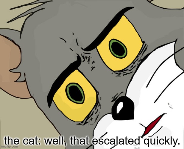 Unsettled Tom Meme | the cat: well, that escalated quickly. | image tagged in memes,unsettled tom | made w/ Imgflip meme maker