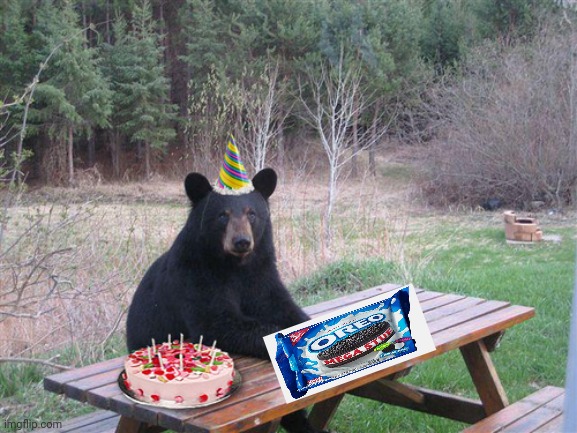 Bear party. You're the main course. | image tagged in birthday bear,bear,invasion,nom nom nom,party | made w/ Imgflip meme maker