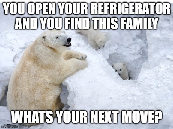 I would be so worried | YOU OPEN YOUR REFRIGERATOR AND YOU FIND THIS FAMILY; WHATS YOUR NEXT MOVE? | image tagged in blank white template | made w/ Imgflip meme maker