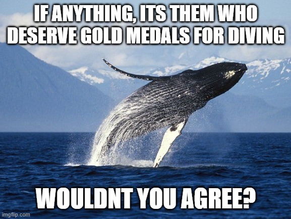 Cmon guys be honest now | IF ANYTHING, ITS THEM WHO DESERVE GOLD MEDALS FOR DIVING; WOULDNT YOU AGREE? | image tagged in blank white template | made w/ Imgflip meme maker