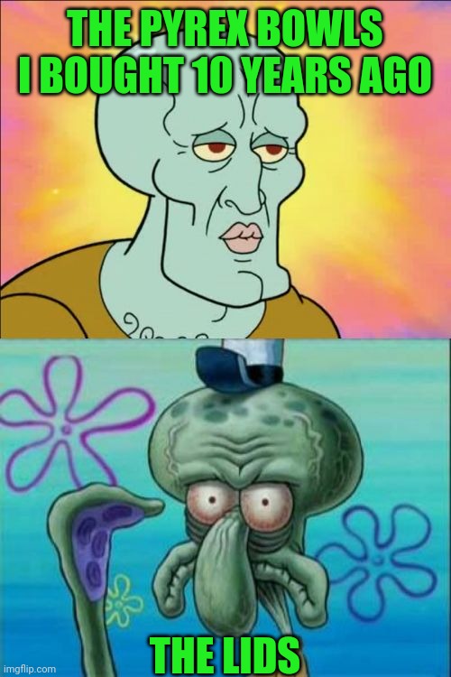 Squidward | THE PYREX BOWLS I BOUGHT 10 YEARS AGO; THE LIDS | image tagged in memes,squidward,old,tupperware,pyrex | made w/ Imgflip meme maker