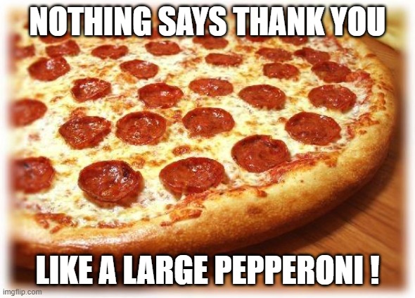 You're Welcome | NOTHING SAYS THANK YOU; LIKE A LARGE PEPPERONI ! | image tagged in gifs,pizza time | made w/ Imgflip meme maker