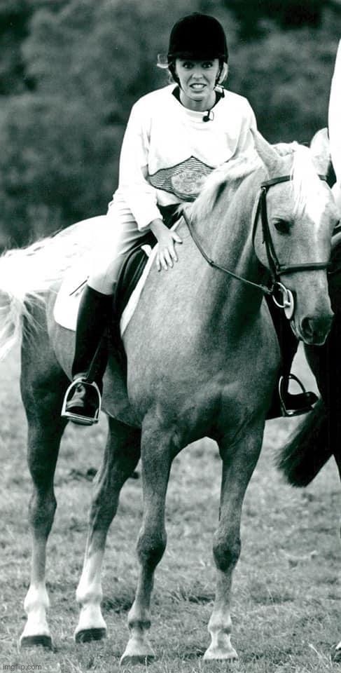 Kylie horse | image tagged in kylie horse | made w/ Imgflip meme maker