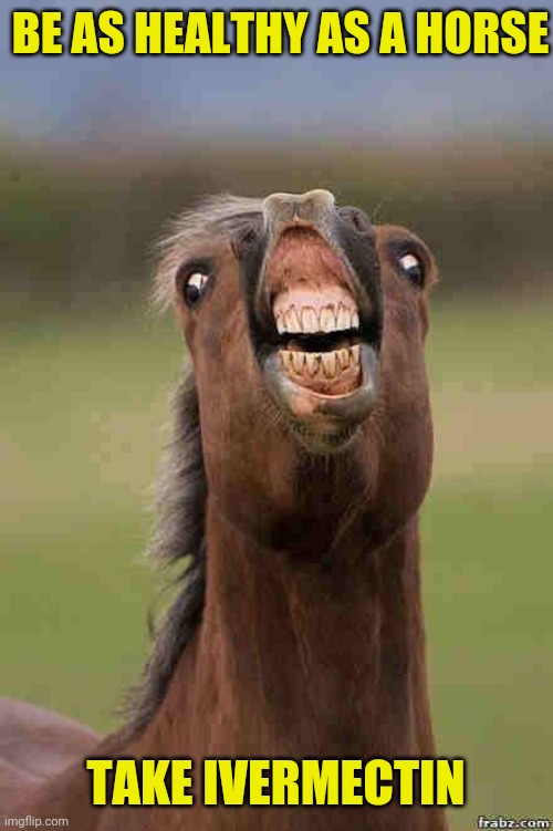 horse face | BE AS HEALTHY AS A HORSE TAKE IVERMECTIN | image tagged in horse face | made w/ Imgflip meme maker