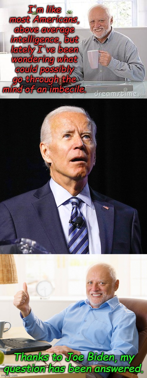 And the answer is........ | I'm like most Americans, above average intelligence, but lately I've been wondering what could possibly go through the mind of an imbecile. Thanks to Joe Biden, my question has been answered. | image tagged in hide the pain harold smile,joe biden,hide the pain harold | made w/ Imgflip meme maker