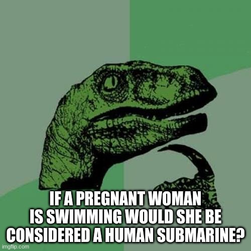 ??? | IF A PREGNANT WOMAN IS SWIMMING WOULD SHE BE CONSIDERED A HUMAN SUBMARINE? | image tagged in memes,philosoraptor | made w/ Imgflip meme maker