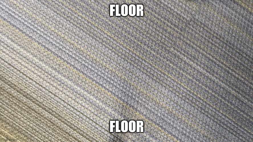 Floor | FLOOR; FLOOR | image tagged in memes | made w/ Imgflip meme maker