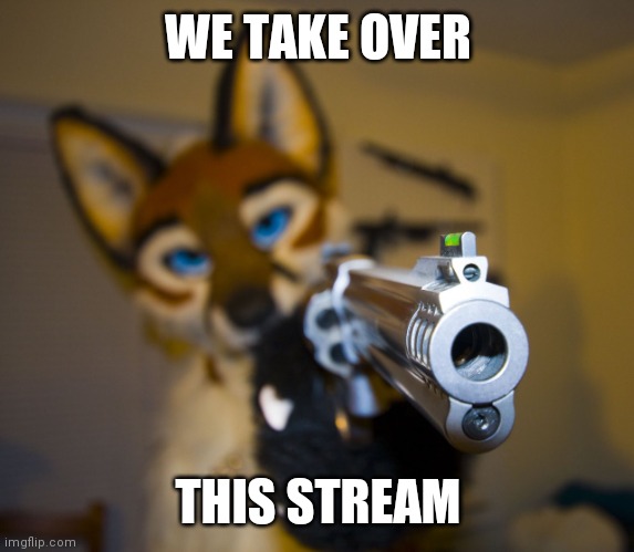 Furry with gun | WE TAKE OVER THIS STREAM | image tagged in furry with gun | made w/ Imgflip meme maker