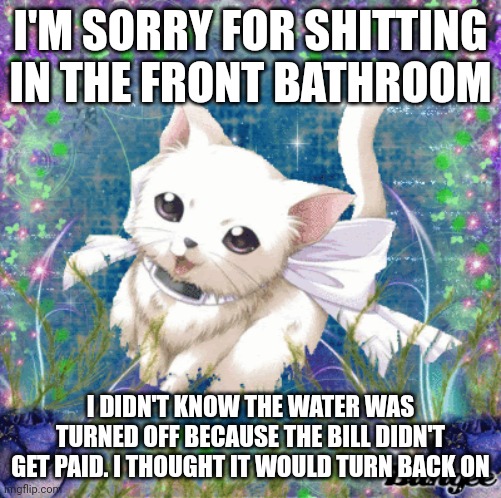 1 | I'M SORRY FOR SHITTING IN THE FRONT BATHROOM; I DIDN'T KNOW THE WATER WAS TURNED OFF BECAUSE THE BILL DIDN'T GET PAID. I THOUGHT IT WOULD TURN BACK ON | image tagged in kitty | made w/ Imgflip meme maker