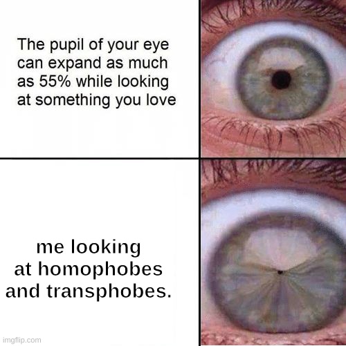 Eye Pupil (Shrinking) Template | me looking at homophobes and transphobes. | image tagged in eye pupil shrinking template,memes,funny | made w/ Imgflip meme maker