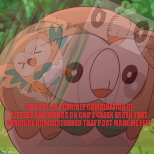 Dang bro you made him suffer | image tagged in distressed rowlet | made w/ Imgflip meme maker