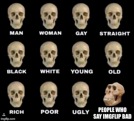 idiot skull | PEOPLE WHO SAY IMGFLIP BAD; WHEN IT’S GOOD | image tagged in idiot skull | made w/ Imgflip meme maker