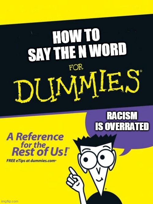 word for dummies | HOW TO SAY THE N WORD; RACISM IS OVERRATED | image tagged in for dummies book,n word,memes,funny memes,book | made w/ Imgflip meme maker