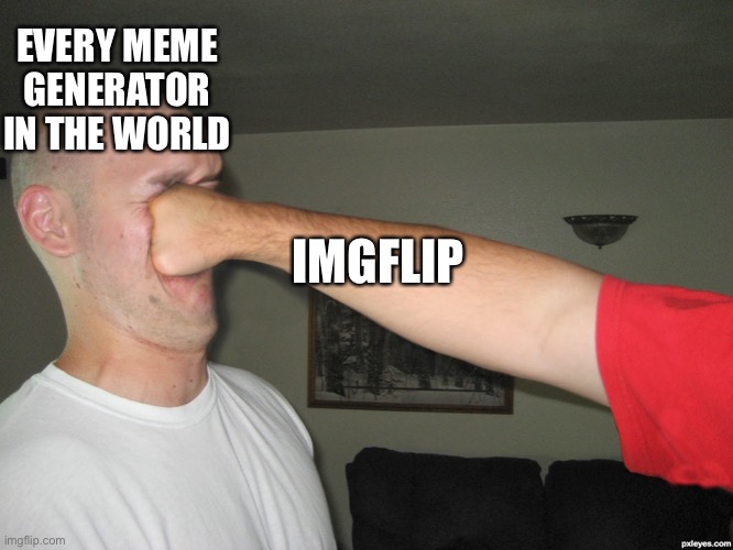 Imgflip |  EVERY MEME GENERATOR IN THE WORLD; IMGFLIP | image tagged in face punch | made w/ Imgflip meme maker