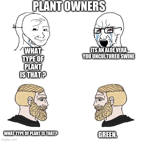 Crying Wojak / I Know Chad Meme | PLANT OWNERS; WHAT TYPE OF PLANT IS THAT ? ITS AN ALOE VERA YOU UNCULTURED SWINE; WHAT TYPE OF PLANT IS THAT? GREEN. | image tagged in crying wojak / i know chad meme | made w/ Imgflip meme maker