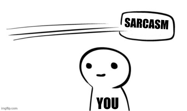 Sarcasm SARCASM; YOU image tagged in the point,i miss ten seconds ago,sarca...