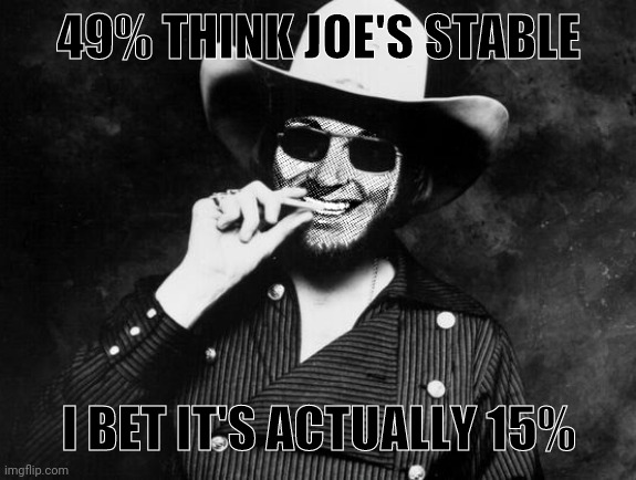 Hank Strangmeme Jr | 49% THINK JOE'S STABLE I BET IT'S ACTUALLY 15% | image tagged in hank strangmeme jr | made w/ Imgflip meme maker