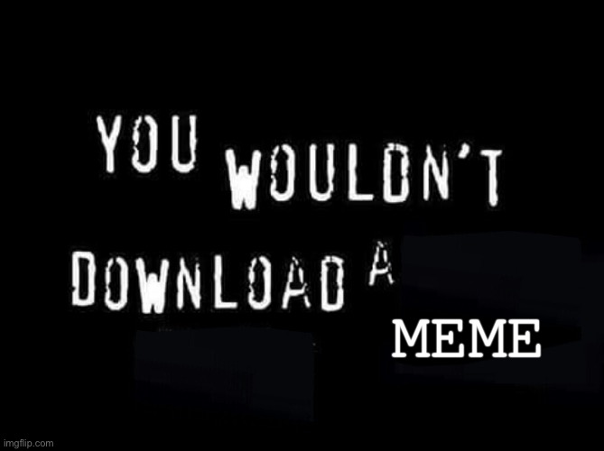 U wooldent downlowd a meem | MEME | image tagged in you wouldnt download a | made w/ Imgflip meme maker