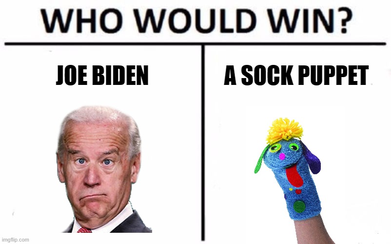 Who's Really Running the Country? | JOE BIDEN; A SOCK PUPPET | image tagged in memes,who would win | made w/ Imgflip meme maker