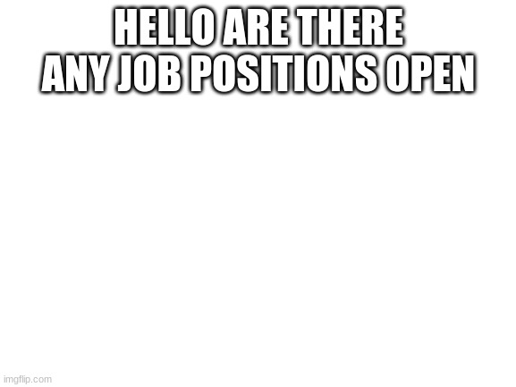 Hello! | HELLO ARE THERE ANY JOB POSITIONS OPEN | image tagged in blank white template | made w/ Imgflip meme maker