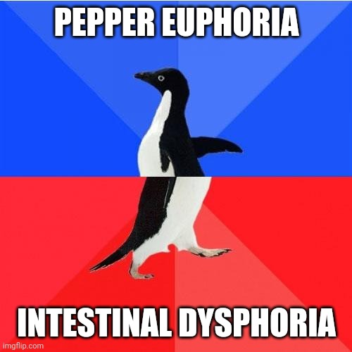 Socially Awkward Awesome Penguin Meme | PEPPER EUPHORIA INTESTINAL DYSPHORIA | image tagged in memes,socially awkward awesome penguin | made w/ Imgflip meme maker