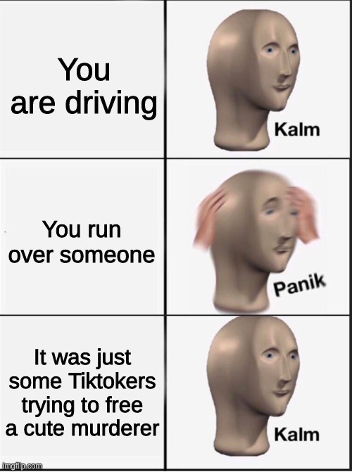Kalm. | You are driving; You run over someone; It was just some Tiktokers trying to free a cute murderer | image tagged in reverse kalm panik,lol,you're actually reading the tags,stop reading the tags,ha ha tags go brr | made w/ Imgflip meme maker