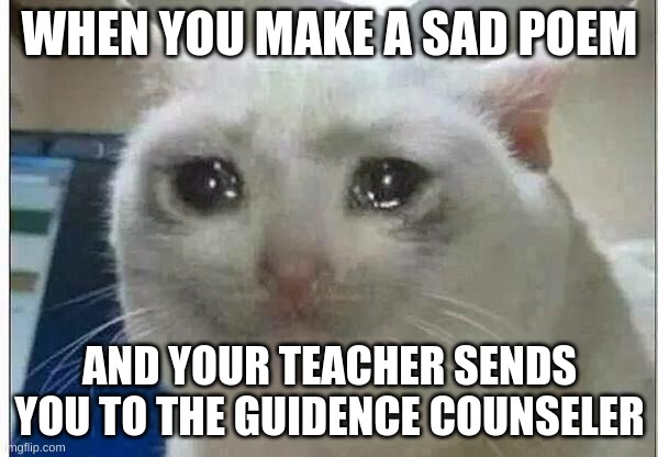 Sadness | WHEN YOU MAKE A SAD POEM; AND YOUR TEACHER SENDS YOU TO THE GUIDENCE COUNSELER | image tagged in crying cat | made w/ Imgflip meme maker