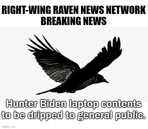 RRNN Breaking News: Selected damning files to be released to public next week. WH in panic mode. | RIGHT-WING RAVEN NEWS NETWORK
BREAKING NEWS; Hunter Biden laptop contents to be dripped to general public. | image tagged in raven,hunter biden,rrnn,laptop | made w/ Imgflip meme maker