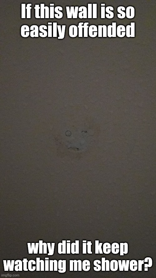 Stop looking if you can't take it! |  If this wall is so
easily offended; why did it keep
watching me shower? | image tagged in shocked face,wall,shower thoughts | made w/ Imgflip meme maker