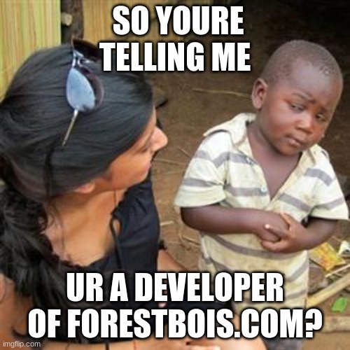UGH | SO YOURE TELLING ME; UR A DEVELOPER OF FORESTBOIS.COM? | image tagged in so youre telling me | made w/ Imgflip meme maker