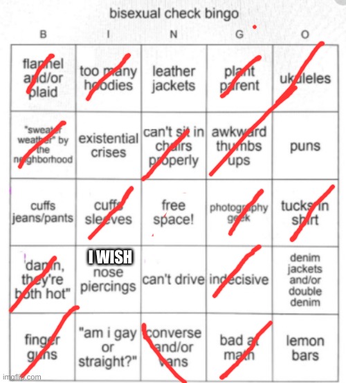 (-_-) | I WISH | image tagged in bisexual bingo | made w/ Imgflip meme maker