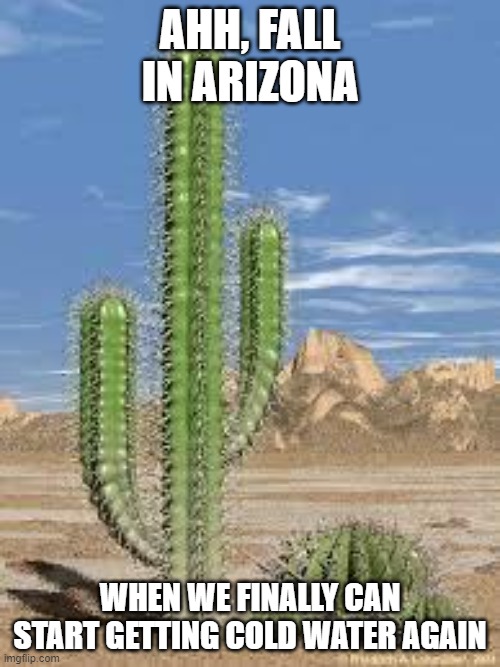 Fall in Arizona |  AHH, FALL IN ARIZONA; WHEN WE FINALLY CAN START GETTING COLD WATER AGAIN | image tagged in cactus | made w/ Imgflip meme maker