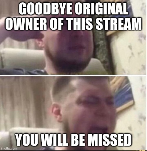 Crying salute | GOODBYE ORIGINAL OWNER OF THIS STREAM; YOU WILL BE MISSED | image tagged in crying salute | made w/ Imgflip meme maker