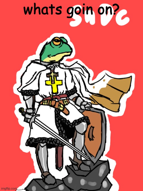 froggy crusader | whats goin on? | image tagged in froggy crusader | made w/ Imgflip meme maker