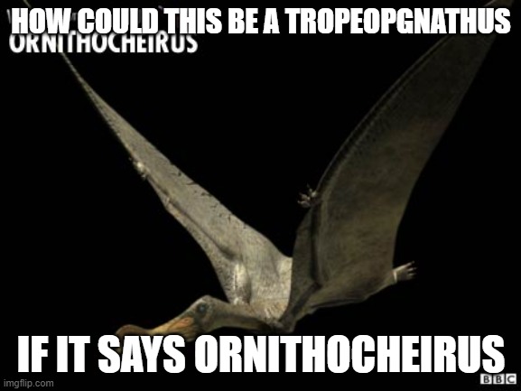 Tropeognathus | HOW COULD THIS BE A TROPEOPGNATHUS; IF IT SAYS ORNITHOCHEIRUS | image tagged in walking with dinosaurs,pterosaurs,paleontology,dinosaurs | made w/ Imgflip meme maker