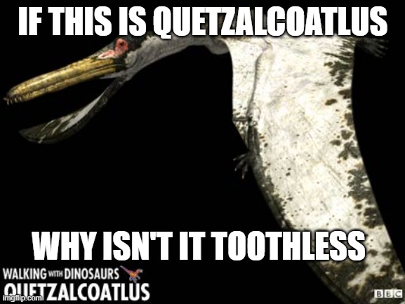 Quetzalcoatlus |  IF THIS IS QUETZALCOATLUS; WHY ISN'T IT TOOTHLESS | image tagged in walking with dinosaurs,paleontology,dinosaurs | made w/ Imgflip meme maker
