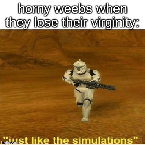 I watch a few animes, but no horny ones | horny weebs when they lose their virginity: | image tagged in just like the simulations,anime,weebs | made w/ Imgflip meme maker