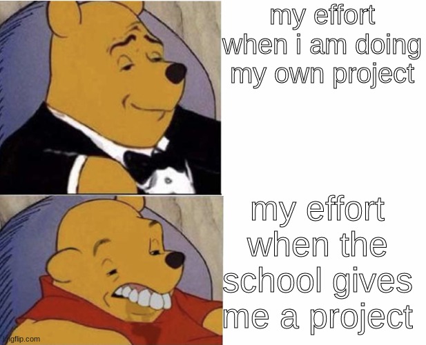 Me When I Am Doing This Me When I Am Doing That | my effort when i am doing my own project; my effort when the school gives me a project | image tagged in me when i am doing this me when i am doing that | made w/ Imgflip meme maker
