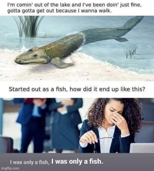 Mr. Lakeside | image tagged in mr brightside,i was only a fish,coming out of my lake | made w/ Imgflip meme maker