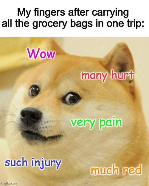 Painful |  My fingers after carrying all the grocery bags in one trip:; Wow; many hurt; very pain; such injury; much red | image tagged in memes,doge,funny | made w/ Imgflip meme maker