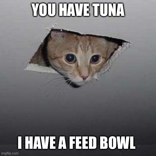 Hungry Ceiling Cat | YOU HAVE TUNA; I HAVE A FEED BOWL | image tagged in memes,ceiling cat | made w/ Imgflip meme maker