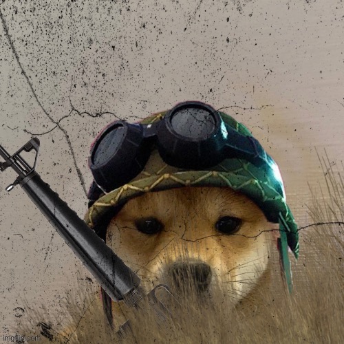 Dog wif hat | image tagged in vietnam,dog,hat,meme,dog wif hat | made w/ Imgflip meme maker