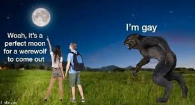 image tagged in gay,werewolf | made w/ Imgflip meme maker